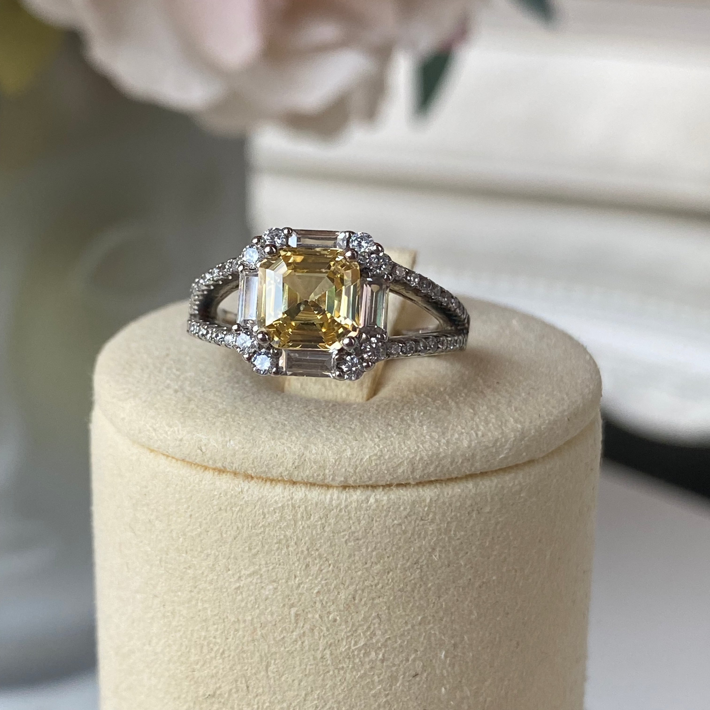 Anillo Hudson