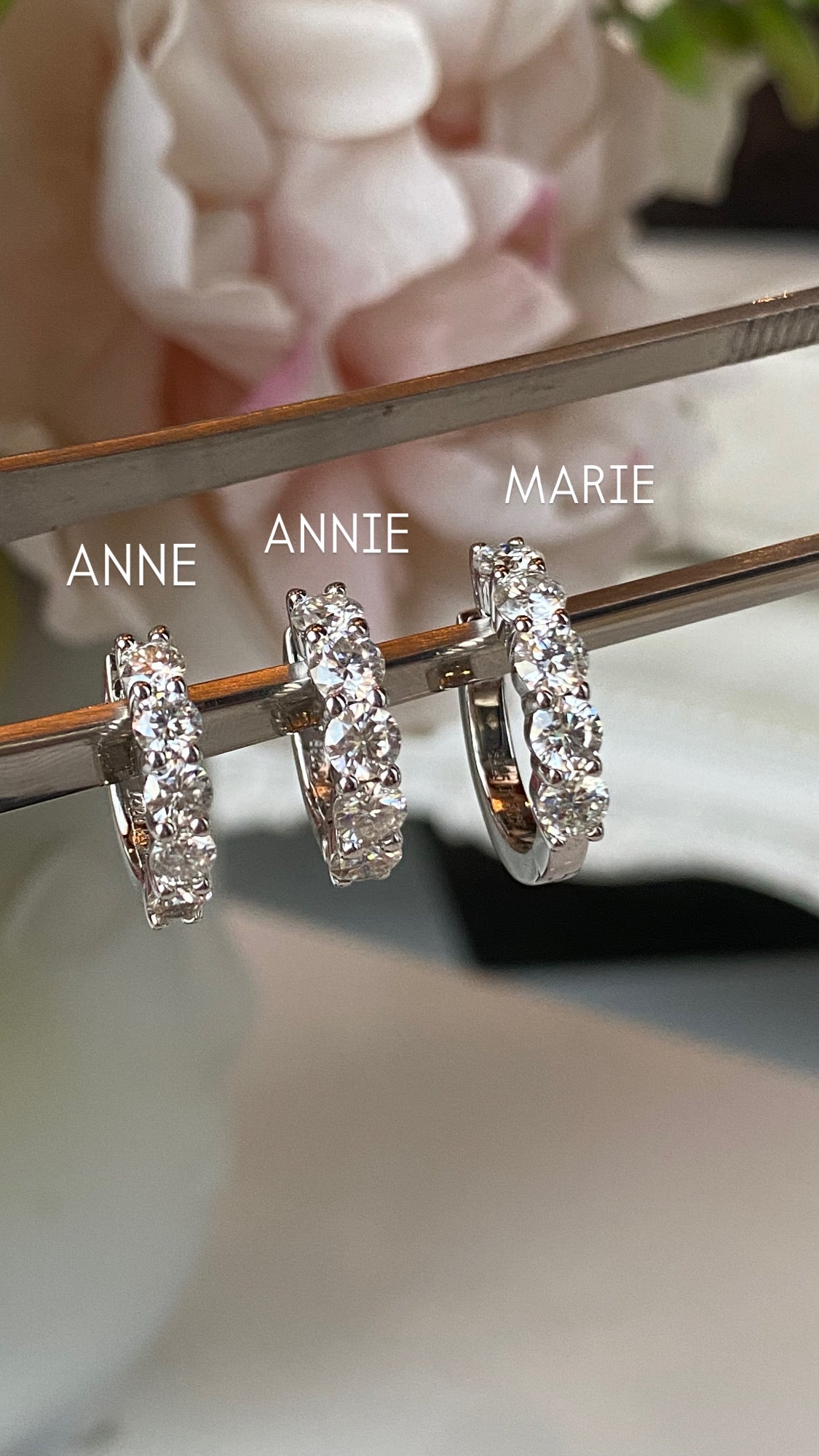Aretes Annie