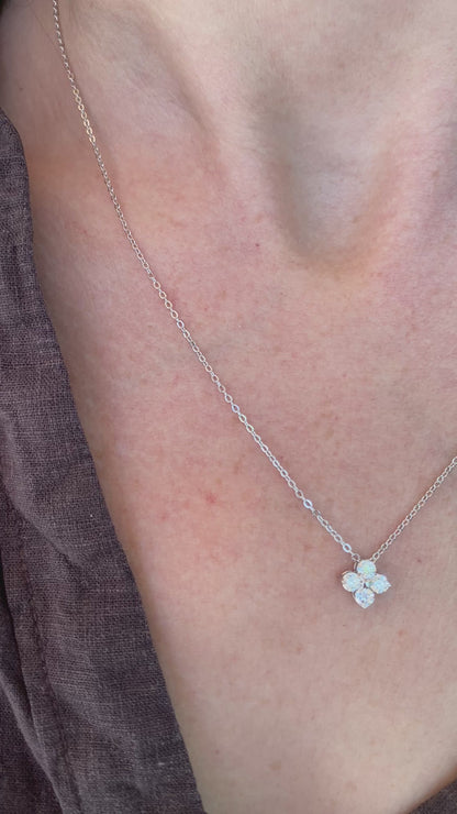 Collar Bloom